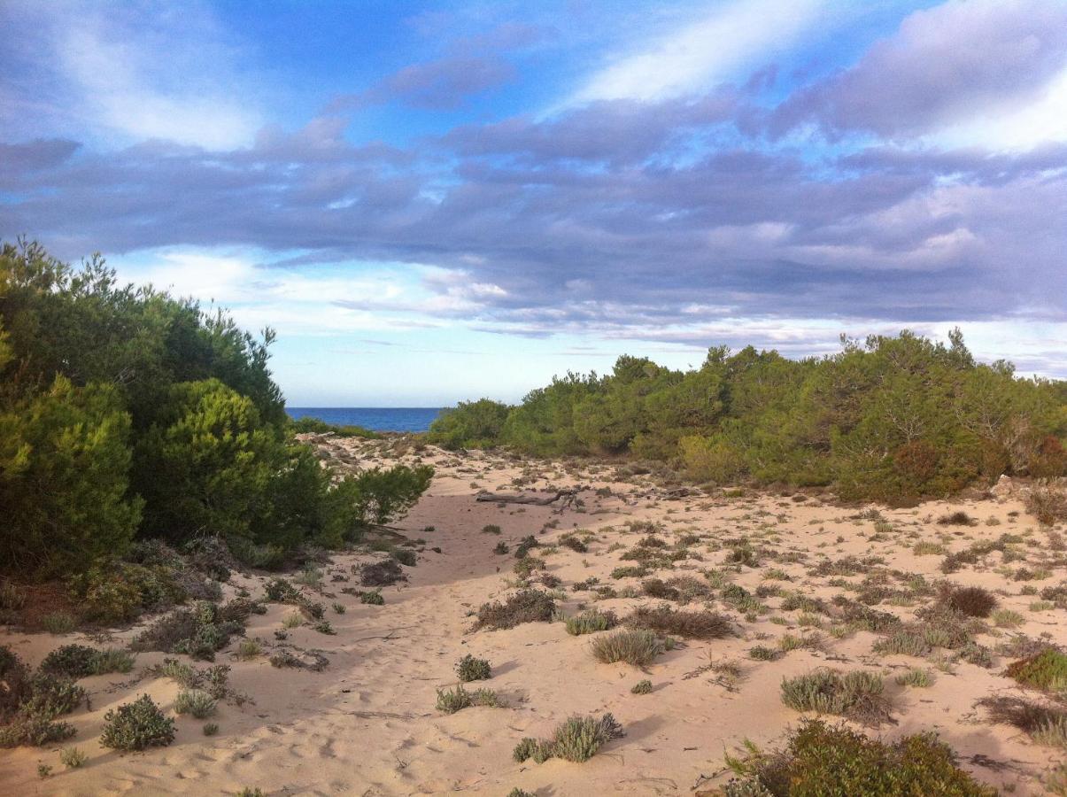 Apartamento 50m From The With A Gym, Son Serra De Marina, Mallorca