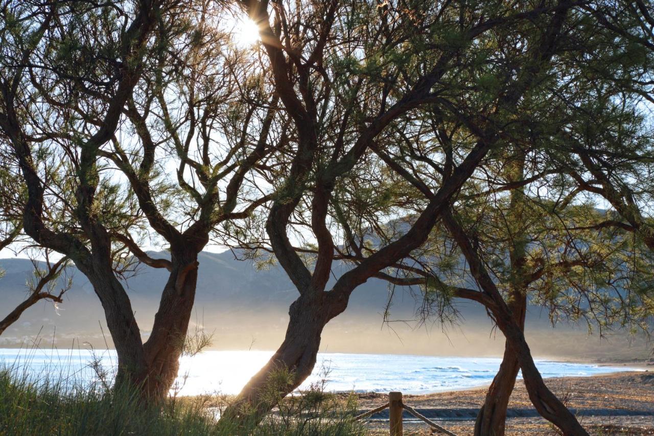 50m From The With A Gym, Son Serra De Marina, Mallorca * Son Serra de Marina