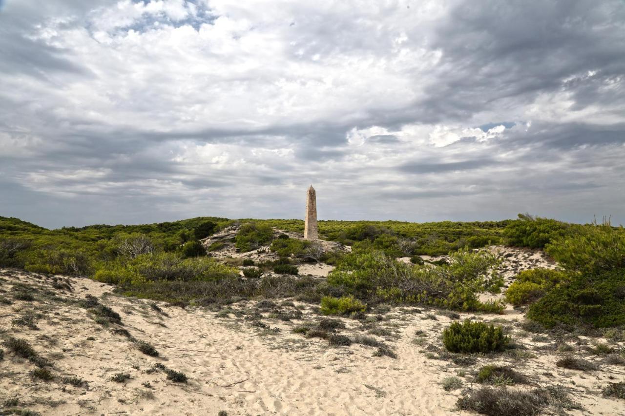 50m From The With A Gym, Son Serra De Marina, Mallorca *
