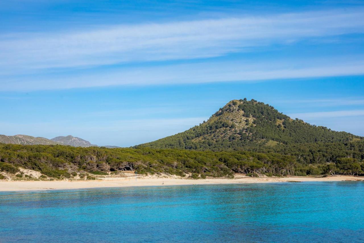 Grillo Cala Ratjada (Mallorca)