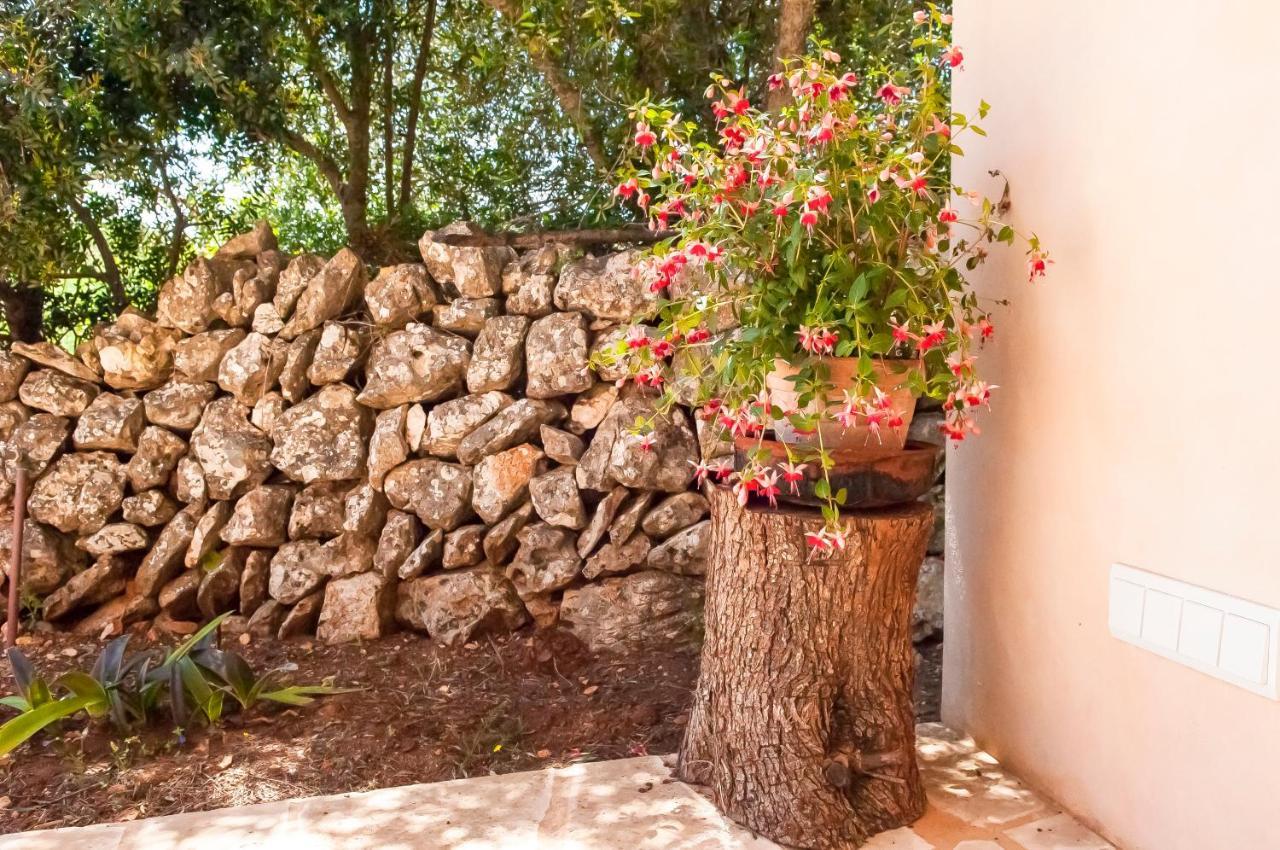 Salas Nou Calonge (Mallorca)