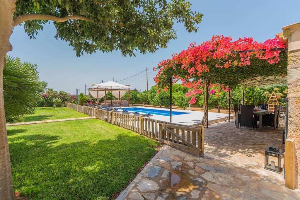 Amer Villa