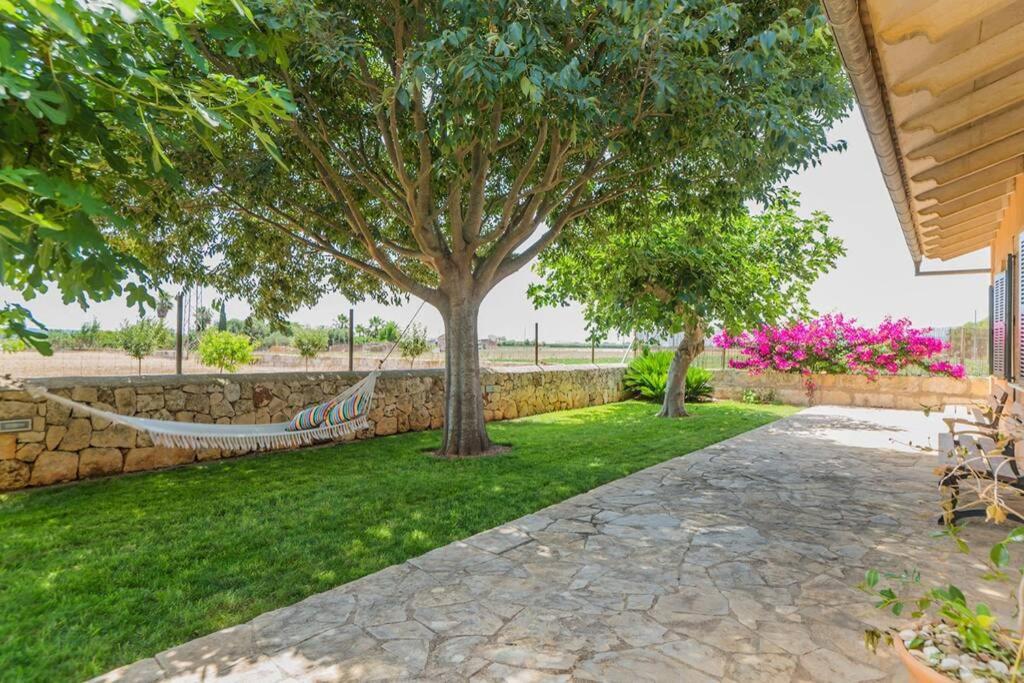 Villa Amer *