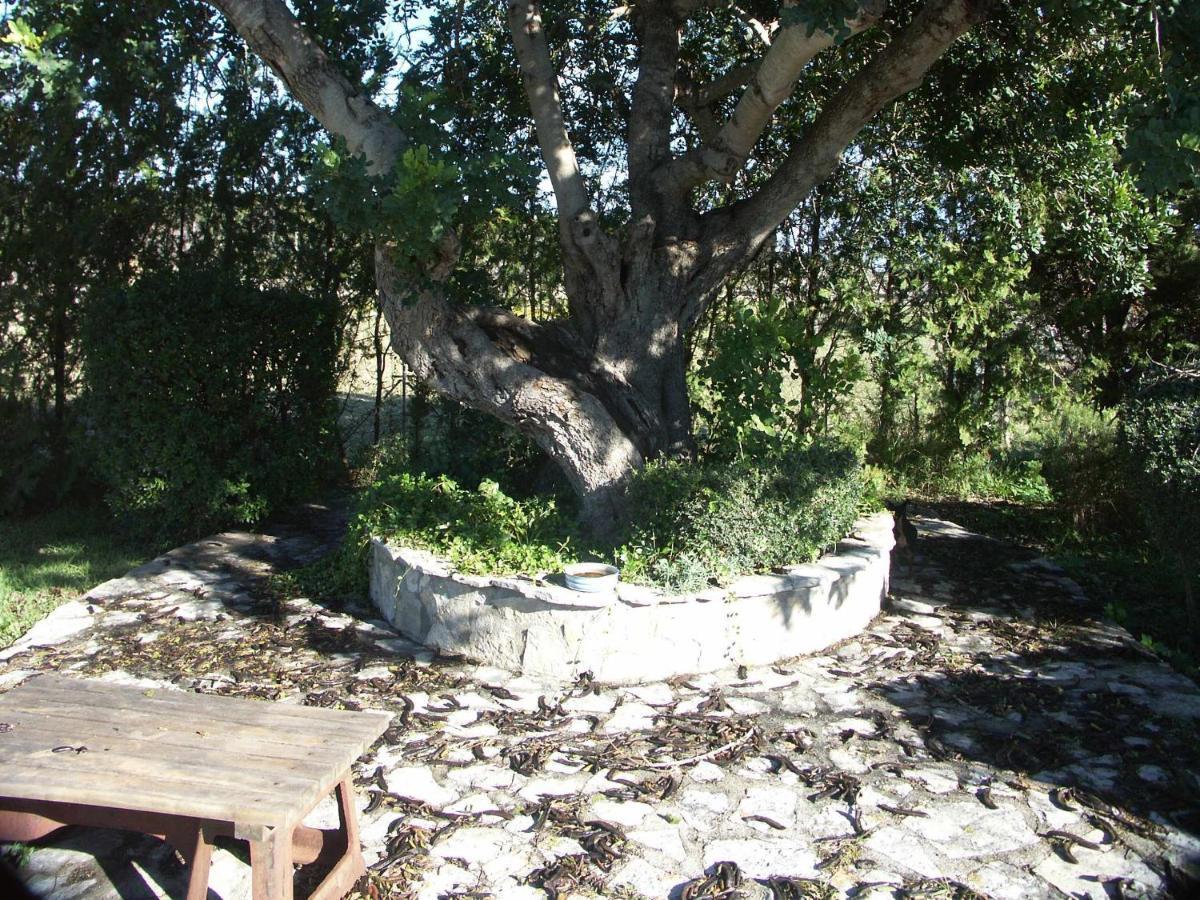 Holiday home Marina Nou Cerca Del Golf Pollenca