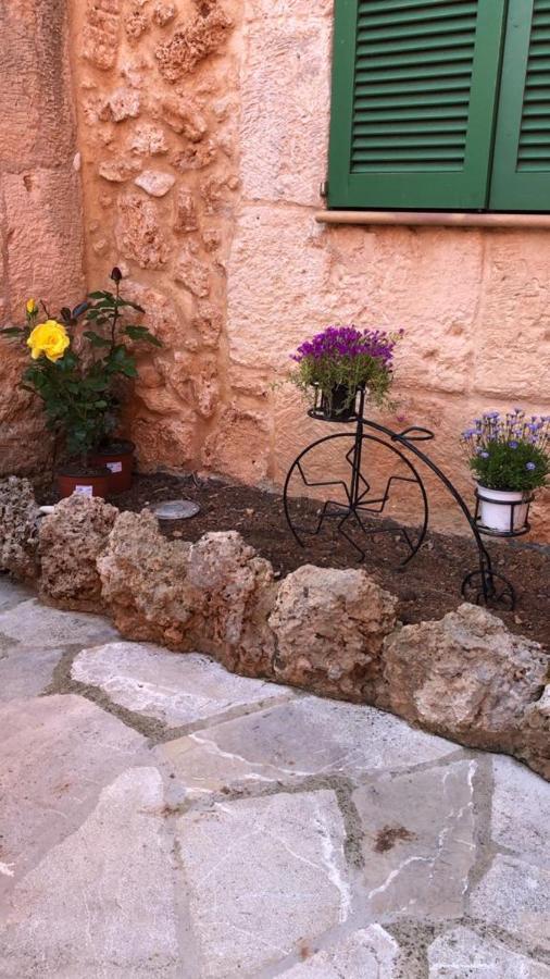 Petit Algaida * Algaida (Mallorca)