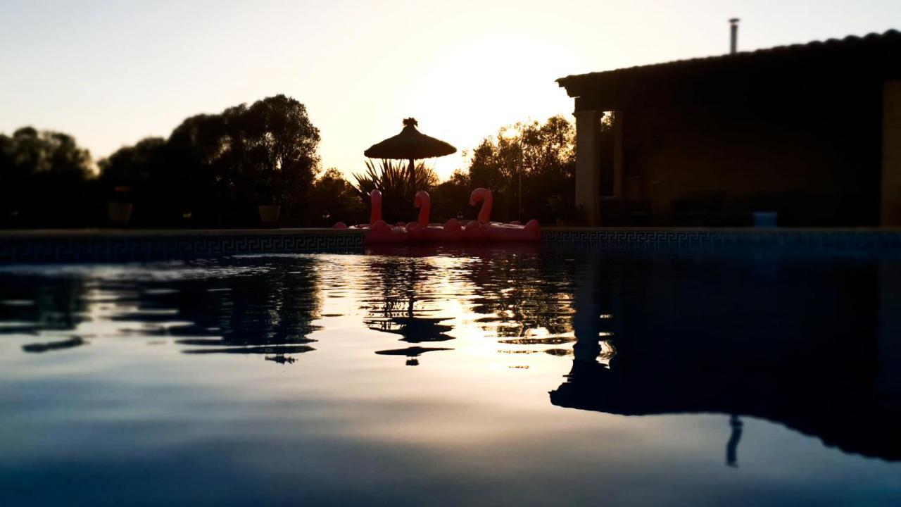 Finca Rural Art 9 Holiday home