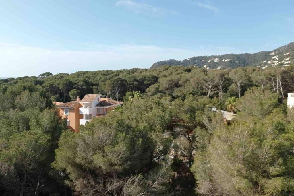 Apartamento Seaview 5a Balcony In Canyamel Torre Doy