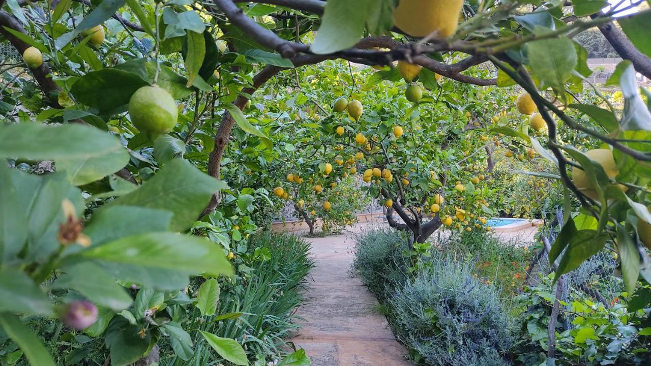 Сasa de vacaciones Ca Na Menga Sóller