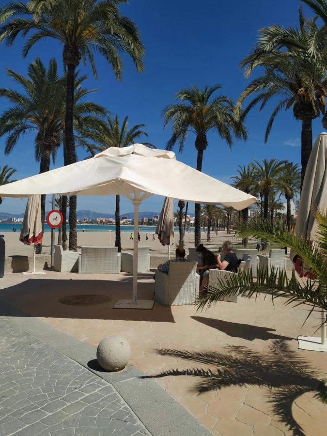 Family House With Pool Near Playa De Palma *