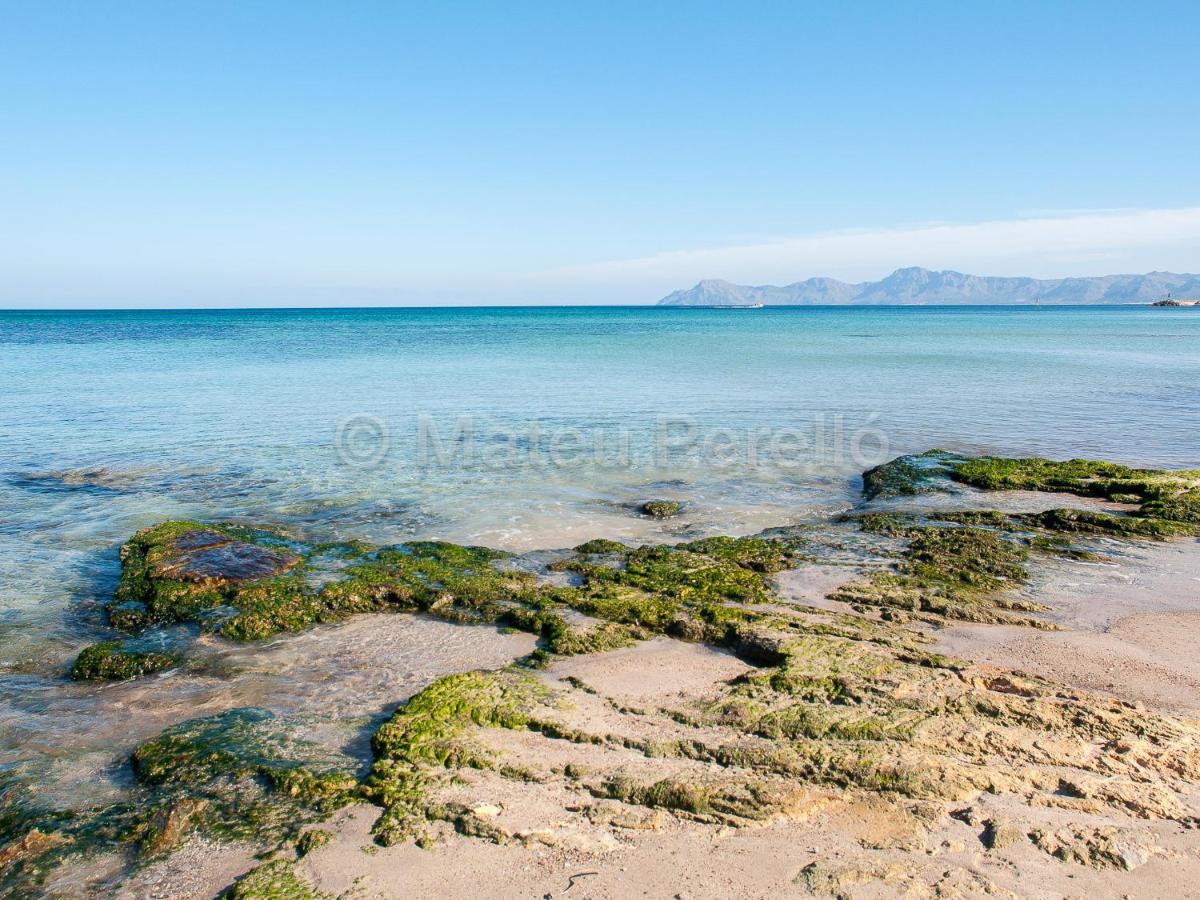Randemar Cp * Can Picafort (Mallorca)