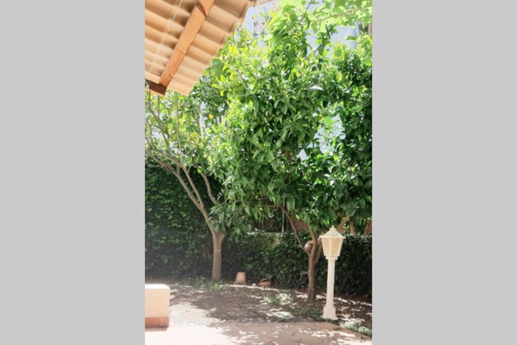 Family House For 6 People In Valldemossa *