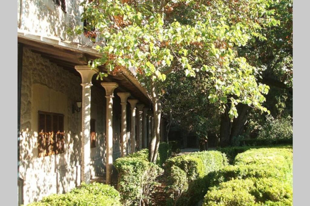 Family House For 6 People In Valldemossa *