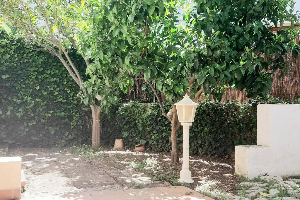 Holiday home Family House For 6 People In Valldemossa