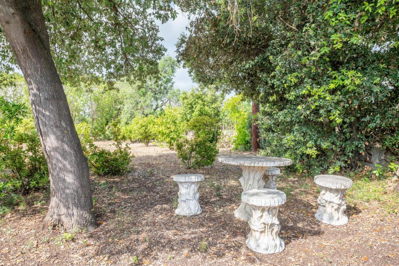 Pou Petit Villa Pollensa