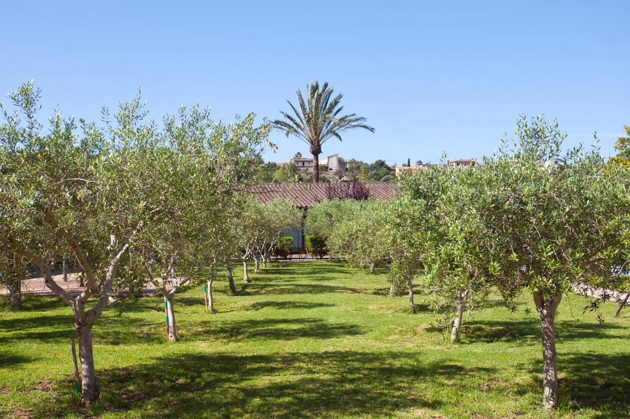 Farm stay S'hort De Son Caulelles - Adults Only Marratxi