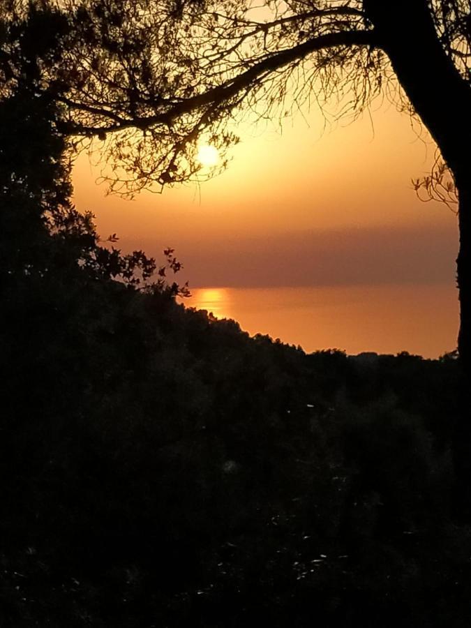 Сasa de vacaciones Sa Talaia *