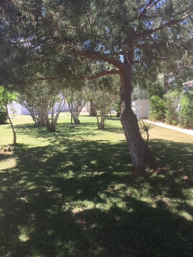 Сasa de vacaciones Cala Serena 1