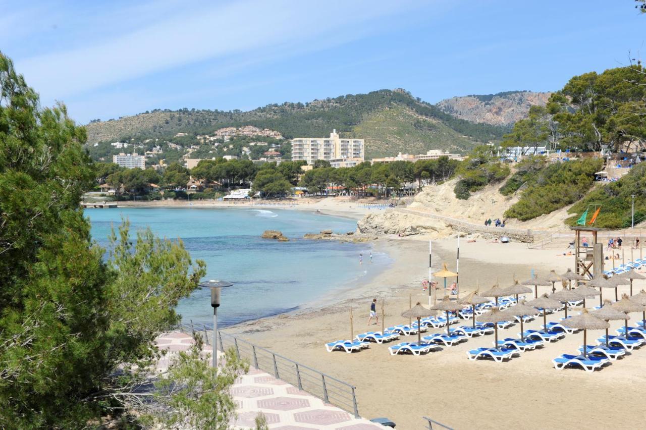 Allsun Bella Paguera Hotel 4*