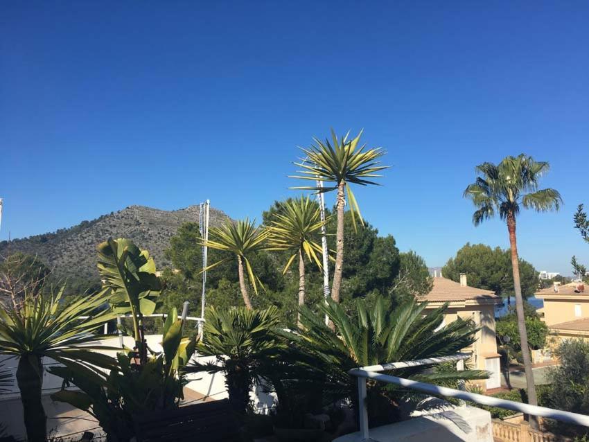 Beach Inn Apartment Apartment Alcudia (Mallorca)