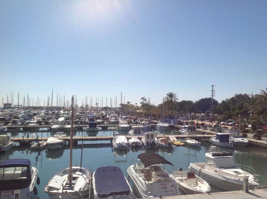 Beach Inn Apartment Apartment Alcudia (Mallorca)