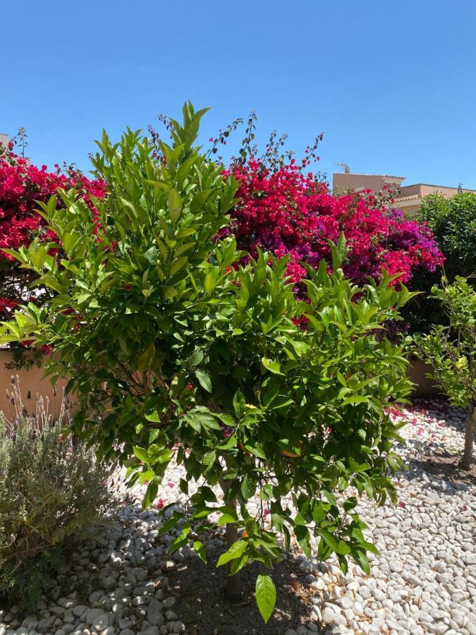 15 - Beachhouse Luxury - 300m - Wifi - Klima *