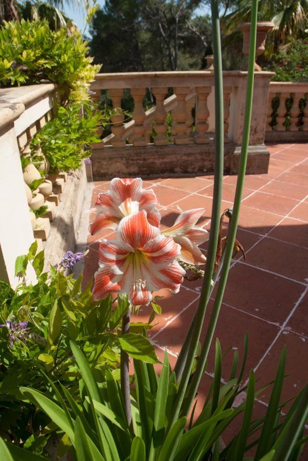 Casa De Vistas * Palma de Mallorca