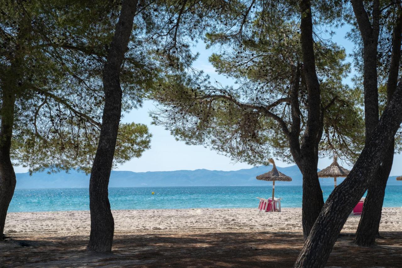 Ferrer Playa De Alcudia