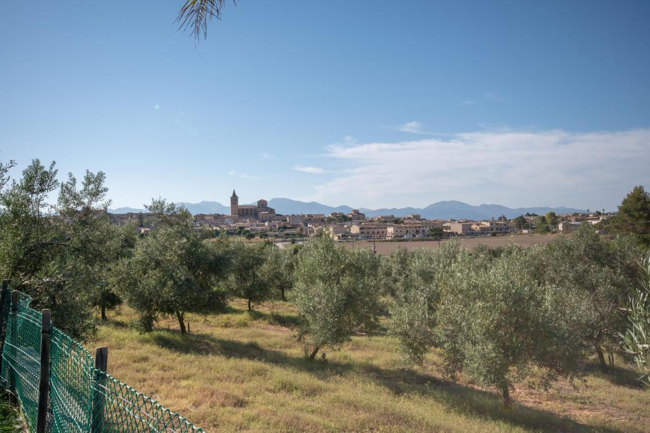 Villa Es Flavo