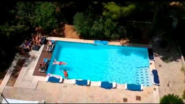 Villa Shangri La Family