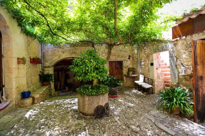 Petita Mare Farm stay