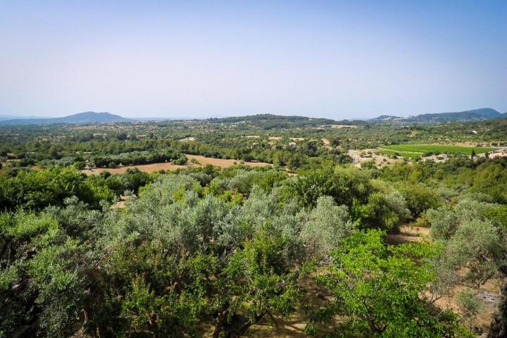 Farm stay Petita Mare *