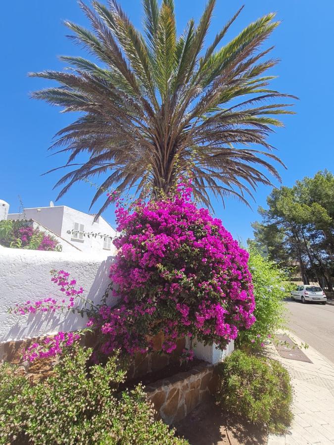 Sunny Chalet Sol De Mallorca * Calvia (Mallorca)