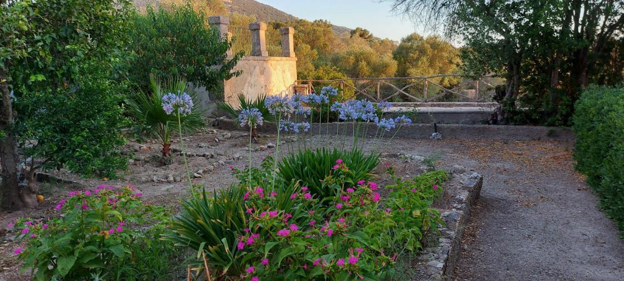 Casa Mallorca Holiday home