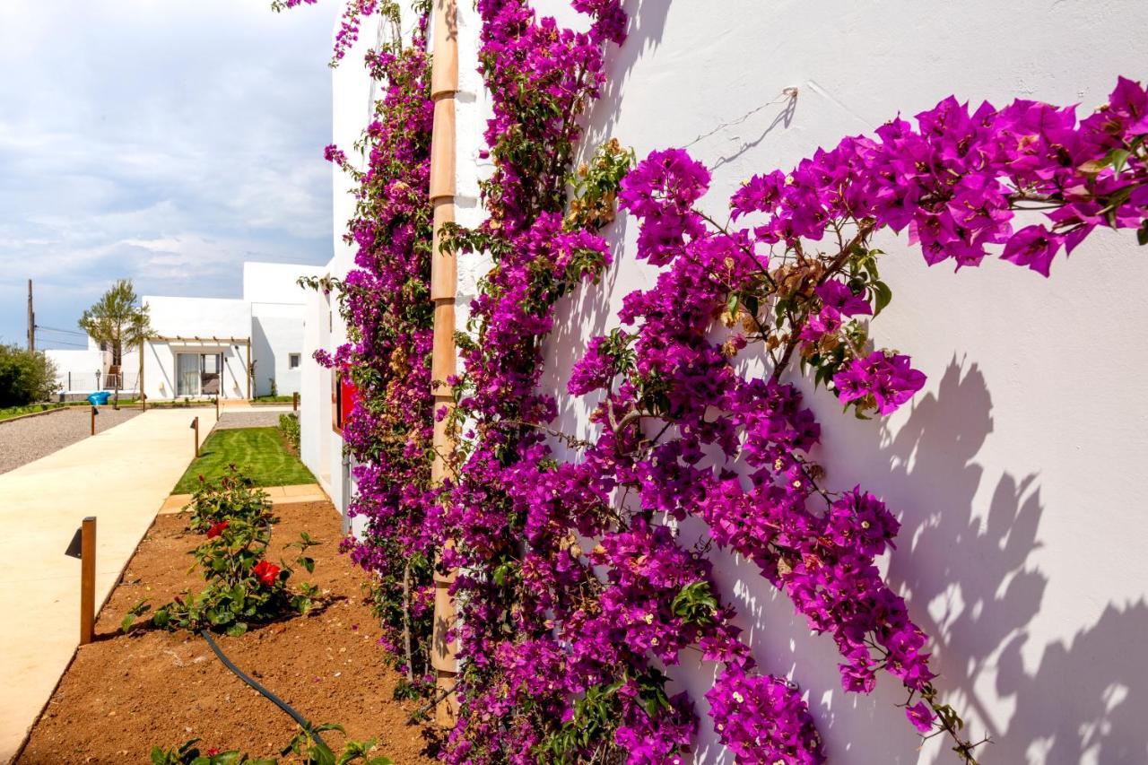 Hotel Eques Petit