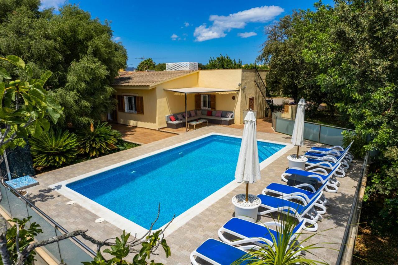 Town * Alcudia (Mallorca)