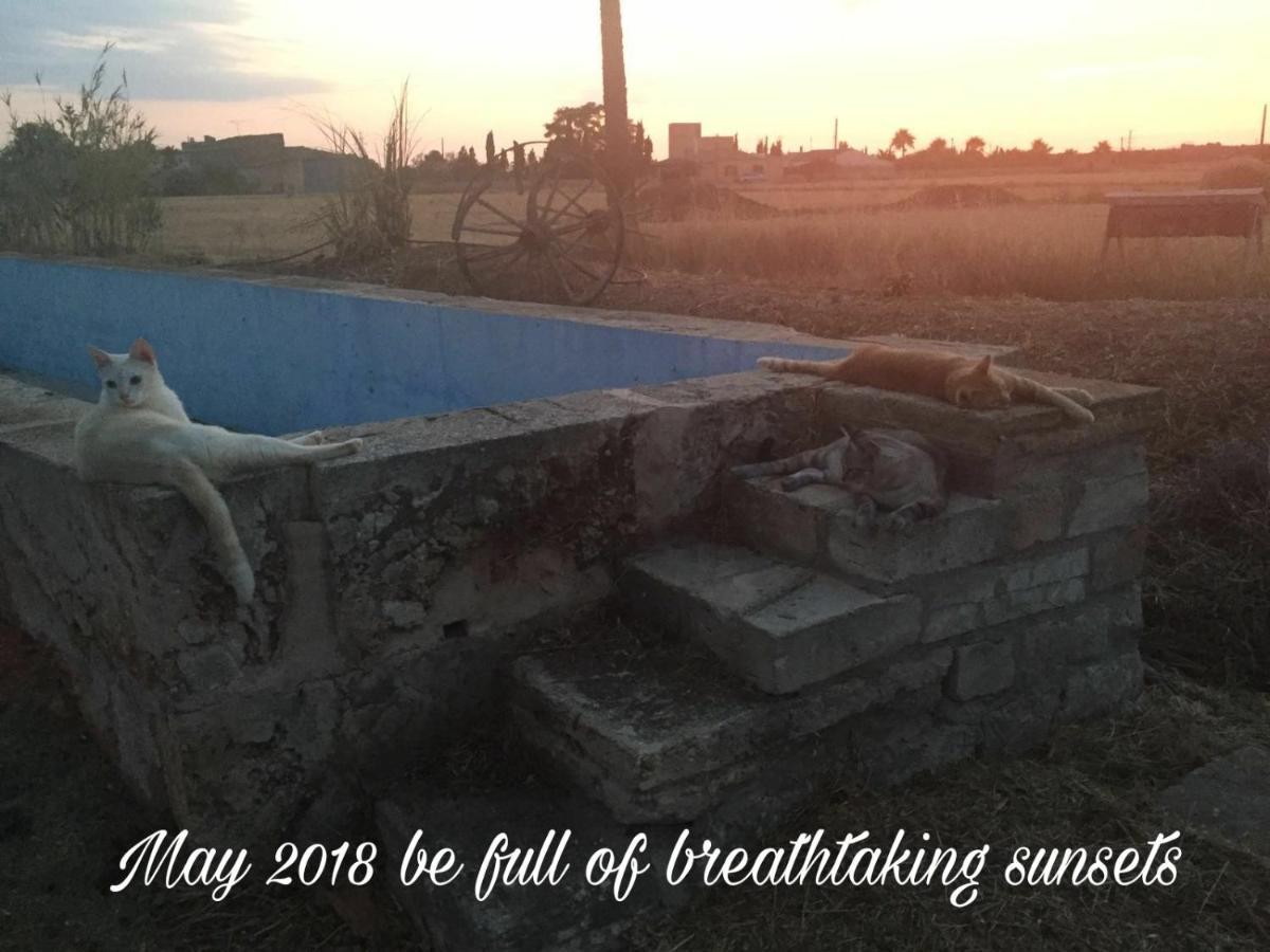 Sant Blai Casa rural Campos (Mallorca)