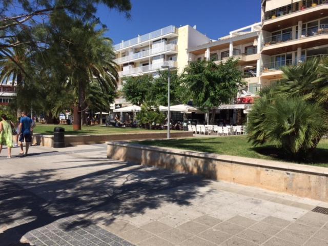 Vicente Buades Puerto Pollensa