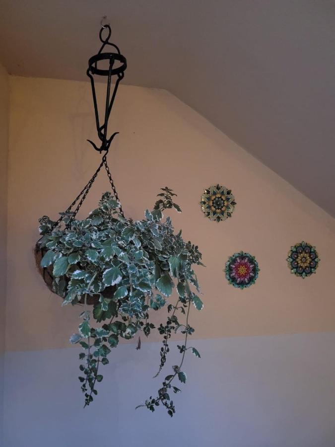 Hotel Casal De Petra - Rooms&pool By My Petra (Mallorca)