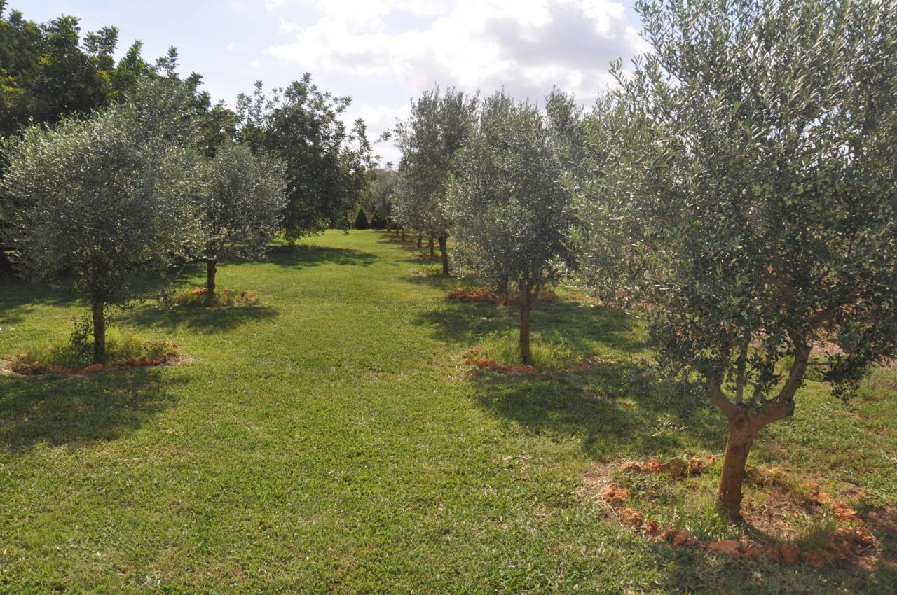 Farm stay Porreti *