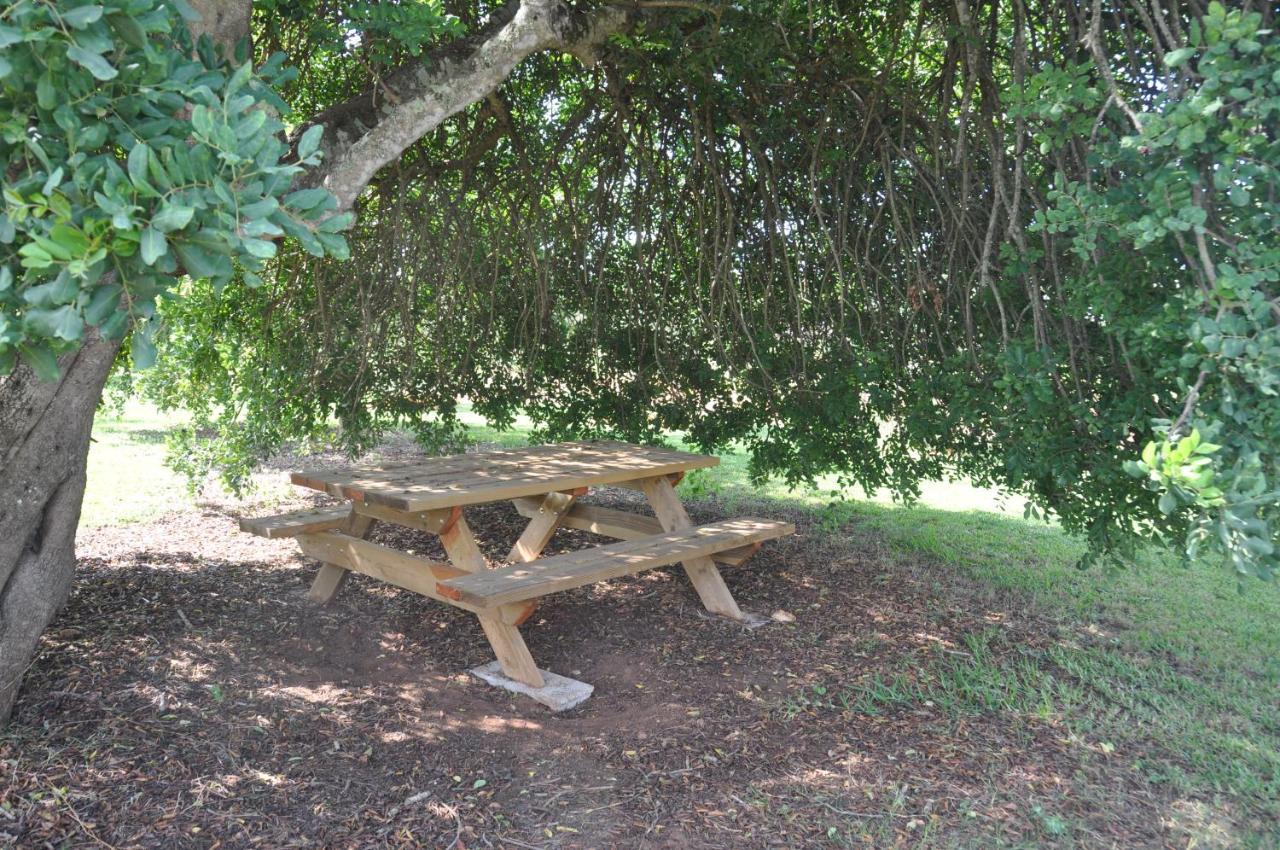 Farm stay Porreti Lloret de Vistalegre