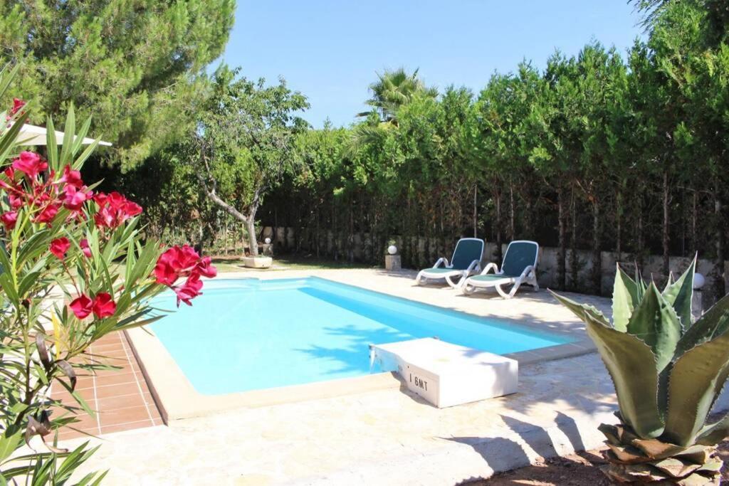 Alomar Villa *