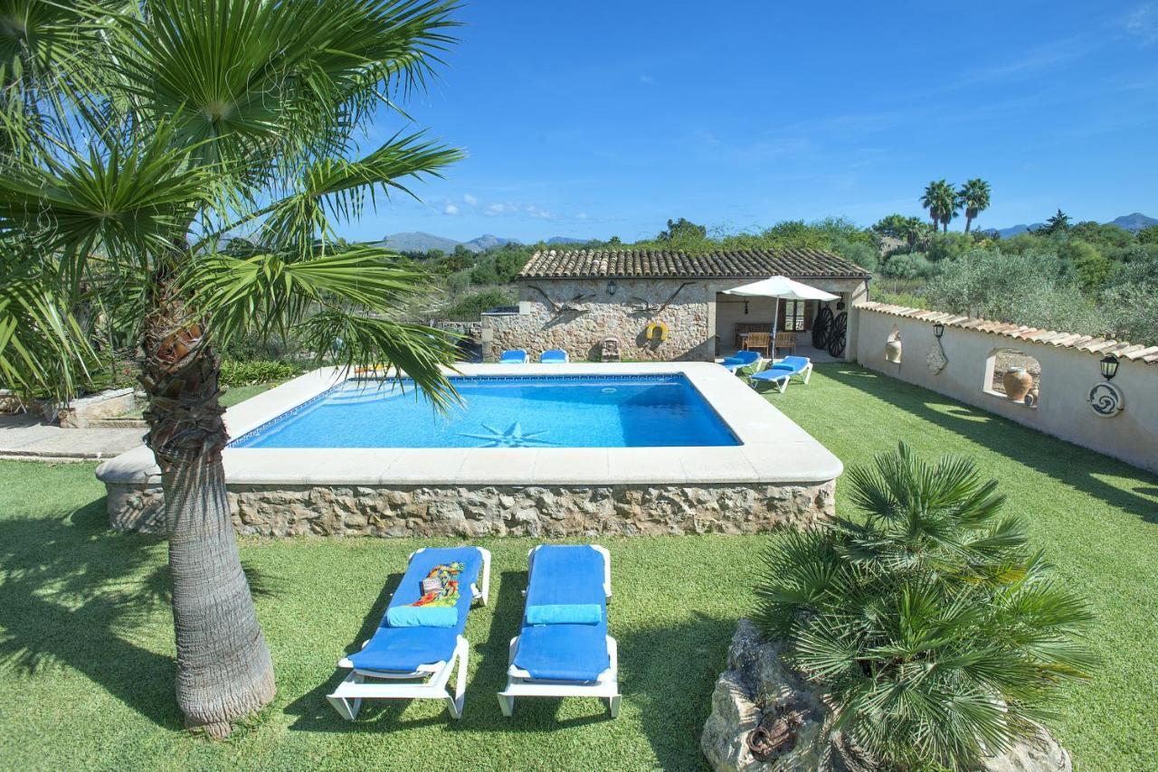Villa Owl Rocases - Rustic