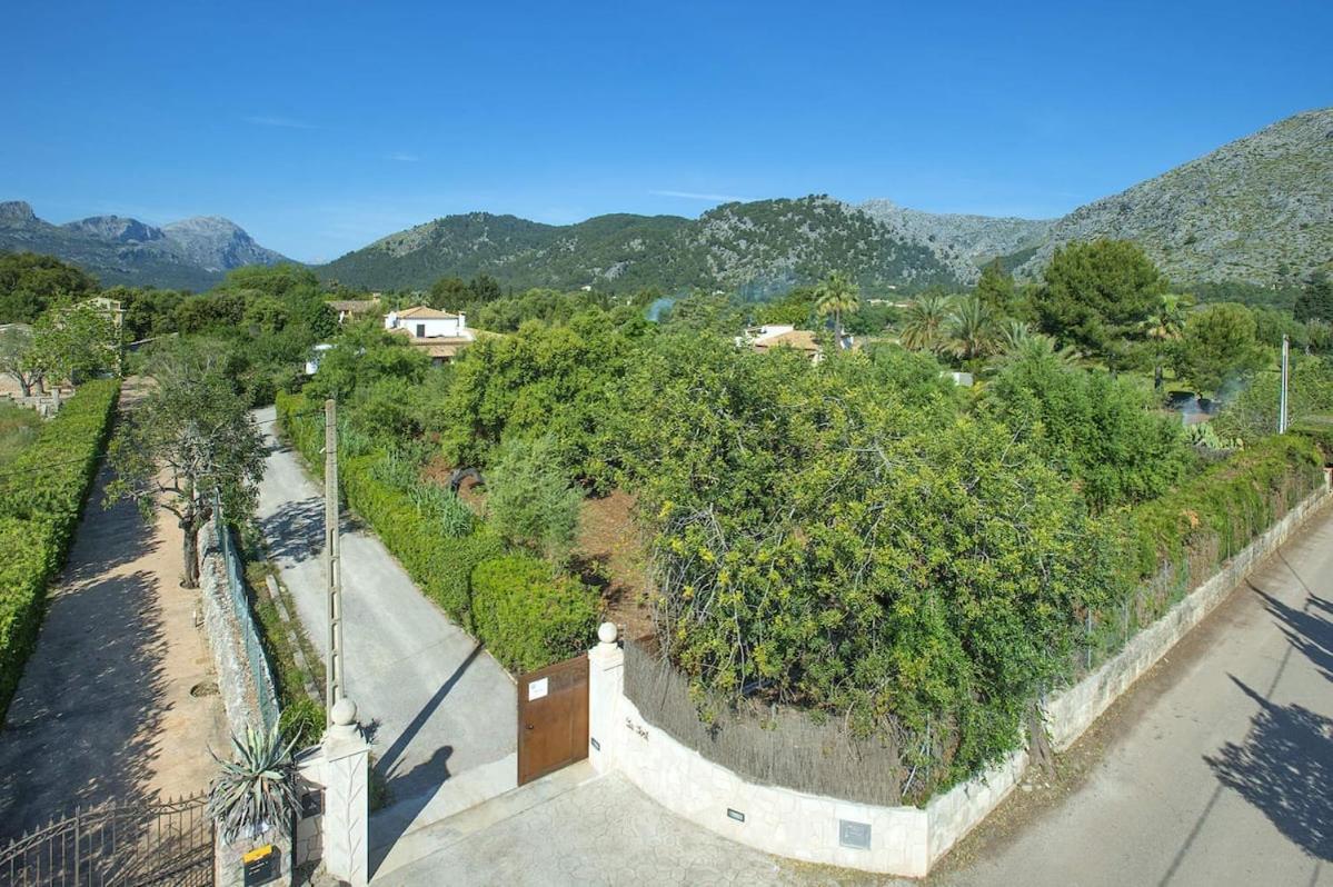 New! Orquidea - Walking Distance To Village Villa