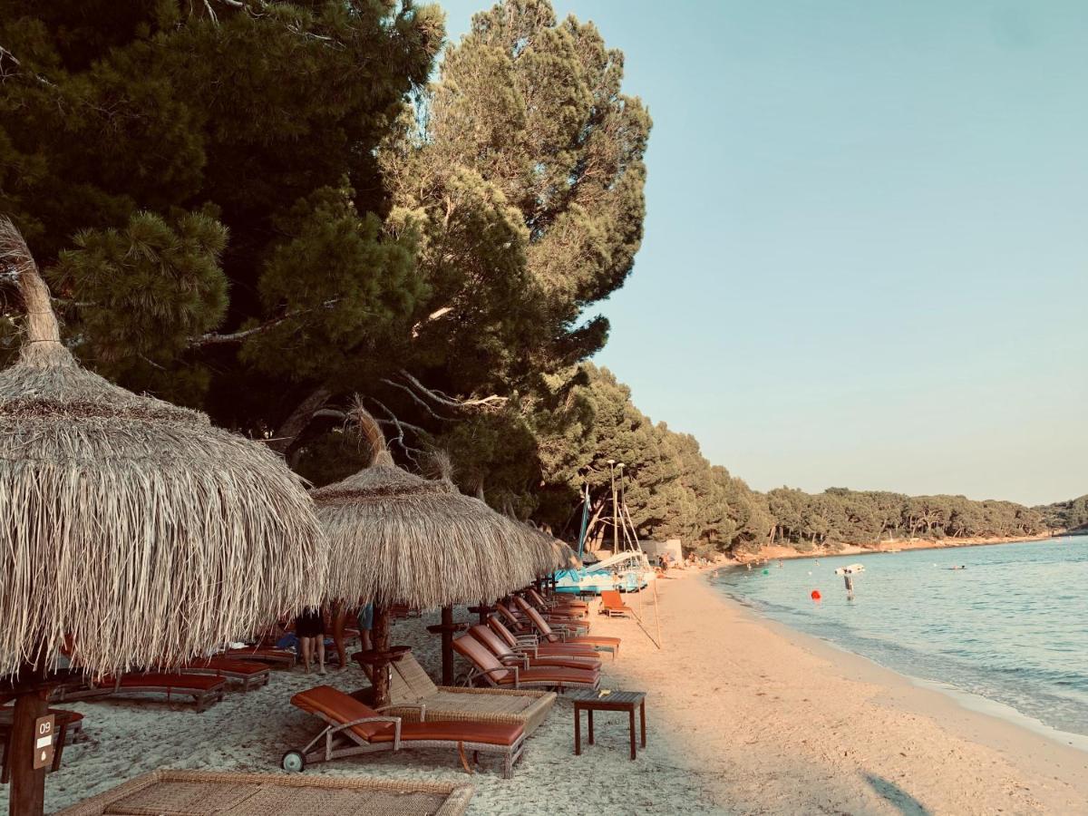 New! Orquidea - Walking Distance To Village Villa