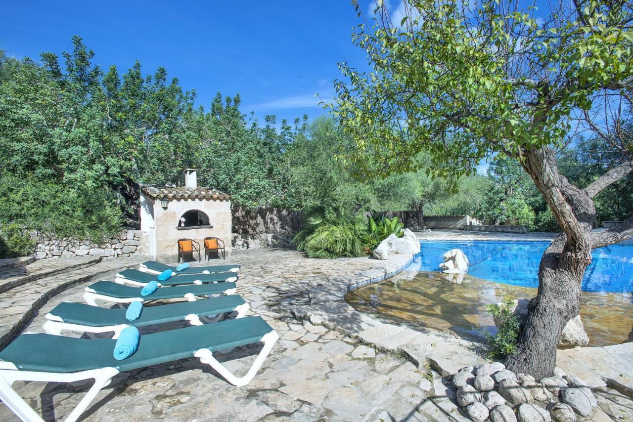 Villa Owl Lloberina - In The Midst Of Nature *