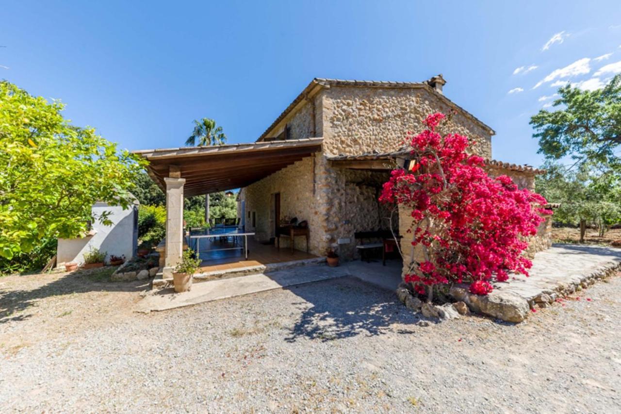 Villa Owl Xino - 10 Min Walk To The Old Town *