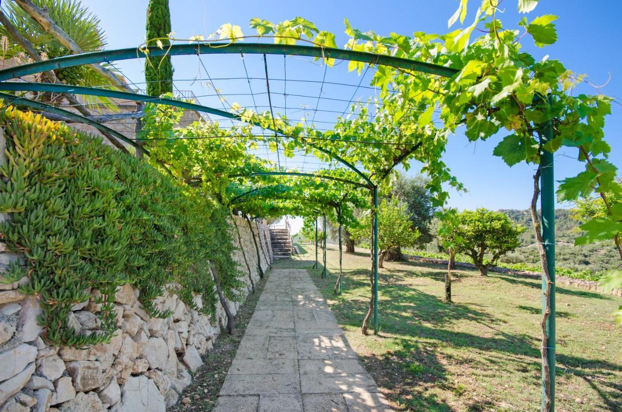 Villa Finca Son Romaní