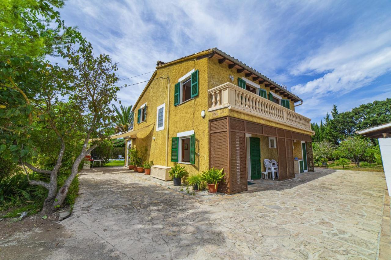Olivers Vera Alcudia (Mallorca)