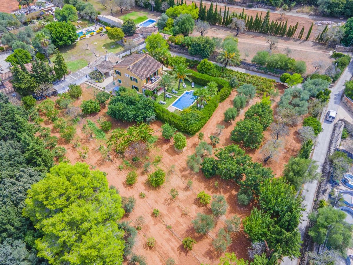 Olivers Vera Villa Alcudia (Mallorca)