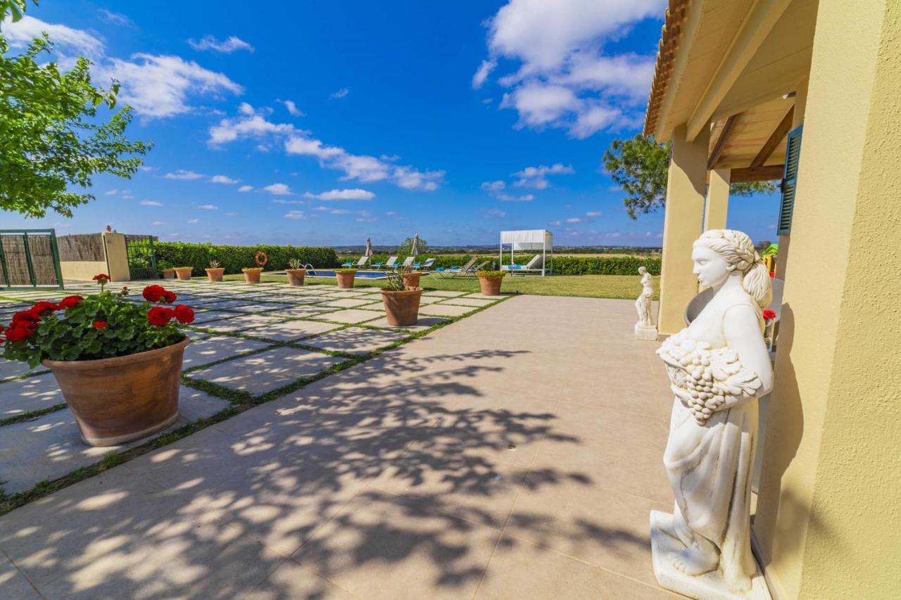 Ambient / Sa Finqueta Villa *